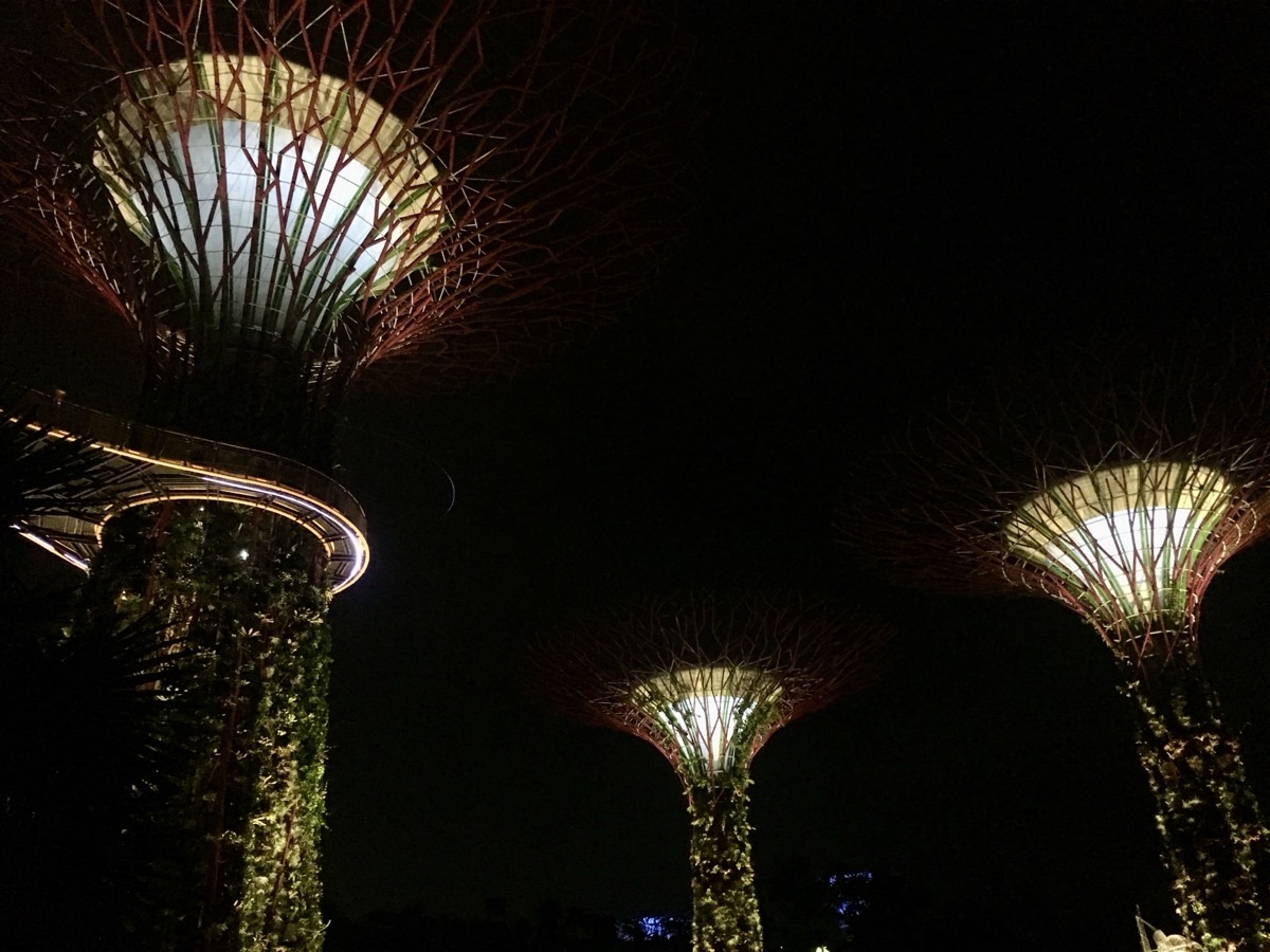 Supertree Grove at Gardens by the Bay in Singapore